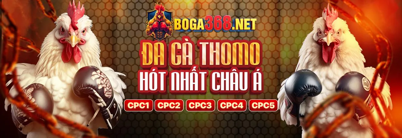 Hình ảnh chính về VND555 link mới và cá cược trực tuyến an toàn
